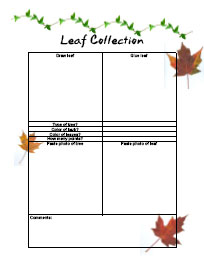Leaf Collection Worksheet